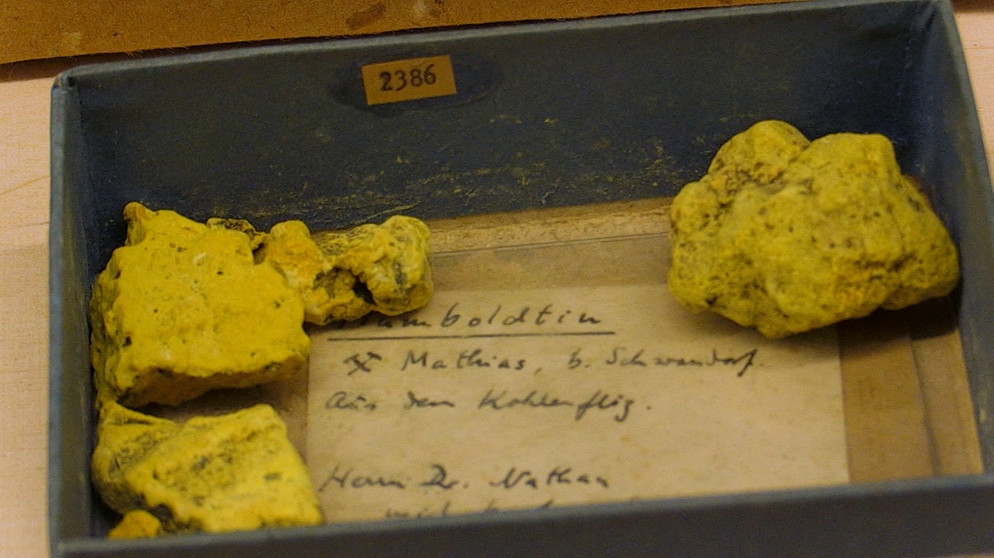 Humboldtin (gelb) with Halotrichit, Fundort Mathiaszeche, Bb 3,5mm, Foto Thomas Prögler (Quelle LfU Bayern)